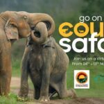 Go on a Couch Safari – Day 1 Highlights of Minneriya & Kaudulla National Park