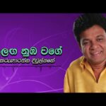 Sepalika Malai (සේපාලිකා මලයි) Cover By Miyuru Sangeeth