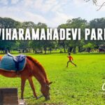 Udawatta Kele Sanctuary | උඩවත්ත කැලේ | Royal Forest Park Udawattakele Travel Vlog 2023 | SL 🦋